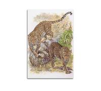 XYSXYCP Wall Art Picture Print Animal Poster Agile Rock Cluster Double Leopards Modern Family for Living Room Decor 12x18inch(30x45cm)