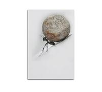 XYSXYCP Wall Art Picture Print Animal Poster Realistic Round Stone-Pushing Ant Modern Family for Living Room Decor 20x30inch(50x75cm)