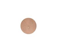 XYTDM Gold Necklace for Women-14K Gold Plated Charm Necklace Shell Necklace Conch Shell Necklace Turtle Necklace Starfish Necklace for Women Dainty Jewelry for Women (Gold,starfish necklace)