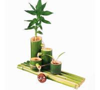 XYUERU Bamboo Water Fountain Kit, Japanese Garden Decoration/Indoor Water Feature,Feng Shui Water Fountain,Waterscape For Pond Fish Tank Courtyard(25cm)