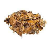 XYZReptiles Premium Live Oak Leaf Litter Isopod Substrate Terrarium Bedding (1/2 Gallon)