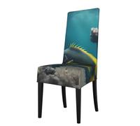 XZDZWK A Beautiful fish Pattern Chair Covers Elasticity Protective Case Scratch-Resistant Print Comfortable Easy to Install