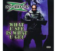 Xzibit - What U See Is What U Get [12" VINYL] [VINYL]