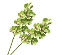 XZJMY 28.4" Artificial Phalaenopsis Flowers,Latex Phalaenopsis Branches,3D Faux Cymbidium Flowers 10 Large Petals Orchids for Home Décor (2, Green)