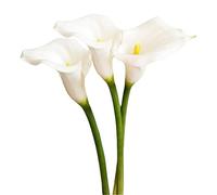XZJMY 3Pcs Artificial Calla Lily Flowers,25~27''Long Stem Calla Lilies Artificial Flower, Fake Latex Flowers for DIY Wedding Bouquet Party Home Decor(White)