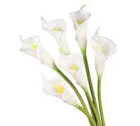 XZJMY 6Pcs Calla Lilies Artificial Flower,26''Long Stem Calla Lily Artificial Flowers,Faux Latex Flowers for DIY Wedding Bridal Bouquet,Holiday,Home Decor (White, 26")