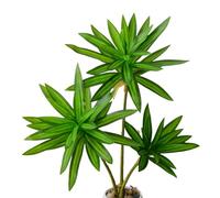 XZJMY Artificial Dracaena Plant,Fake Plants,60 cm Tall Tropical Dracaena Tree,Artificial Plants for Home,Office,Living,Room Decor (Green)