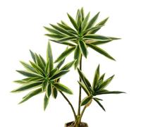 XZJMY Artificial Dracaena Plant,Fake Plants,60 cm Tall Tropical Dracaena Tree,Artificial Plants for Home,Office,Living,Room Decor (White and Green)