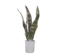 XZJMY Artificial Snake Plants 16.5" Fake Sansevieria Plant Faux Agave Greenery Plant for Home Garden Office Store Decoration,Without Vase (3Pcs, Green)
