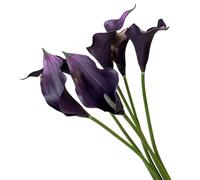 XZJMY Calla Lily Artificial Flowers, Deep Purple, 23.6'' Long Stem