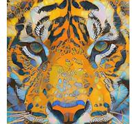 XZSFD NBGEA Damien Hirst Poster and Prints Abstract Wall Art Colorful Picture《Tiger Composition》Damien Hirst Canvas Painting For Home Decor 50x50cm Unframed