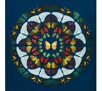 XZSFD NBGEA Damien Hirst Poster and Prints Abstract Wall Art Insect Picture《Butterfly Composition》Damien Hirst Canvas Painting For Home Decor 50x50cm Unframed