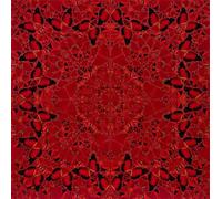 XZSFD NBGEA Damien Hirst Poster and Prints Abstract Wall Art Vision Picture《Butterfly Composition》Damien Hirst Canvas Painting For Home Decor 50x50cm Unframed