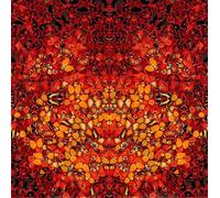XZSFD NBGEA Damien Hirst Poster and Prints Abstract Wall Art Vision Picture《Fire Element Composition》Damien Hirst Canvas Painting For Home Decor 50x50cm Unframed