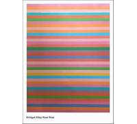 XZSFD NBGEA Famous Bridget Riley Poster Bridget Riley Prints Abstract Wall Art 《Rose》Picture Bridget Riley Canvas Painting For Home Decor 50x70cm Unframed