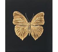 XZSFD NBGEA Famous Damien Hirst Poster and Prints Abstract Wall Art Insect Picture《Gold Butterfly》Damien Hirst Canvas Painting For Home Decor 50x50cm Unframed