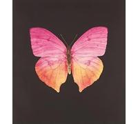 XZSFD NBGEA Famous Damien Hirst Poster and Prints Abstract Wall Art Insect Picture《Pink Butterfly》Damien Hirst Canvas Painting For Home Decor 50x50cm Unframed