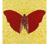 XZSFD NBGEA Famous Damien Hirst Poster and Prints Abstract Wall Art Insect Picture《Red Butterfly》Damien Hirst Canvas Painting For Home Decor 50x50cm Unframed