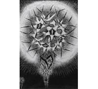 XZSFD NBGEA Famous M.C Escher Vision Poster Thinking Prints Abstract Wall Art Picture《Dandelion》M.C Escher Canvas Painting For Home Decor 60x90cm Unframed