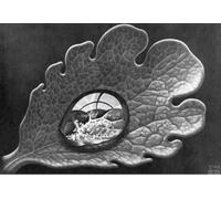 XZSFD NBGEA Famous M.C Escher Vision Poster Thinking Prints Abstract Wall Art Picture《Leaf and Dewdrop》M.C Escher Canvas Painting For Home Decor 90x60cm Unframed
