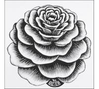 XZSFD NBGEA Famous M.C Escher Vision Poster Thinking Prints Abstract Wall Art Picture《Rose Flower》M.C Escher Canvas Painting For Home Decor 50x50cm Unframed