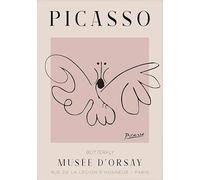 XZSFD NBGEA Pablo Picasso Animal Poster Abstract Line Prints Color Wall Art Picture《The Butterfly》Pablo Picasso Canvas Painting For Home Decor 40x60cm Unframed