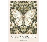 XZSFD NBGEA William Morris Poster Color Prints Abstract Wall Art Pictrure《Butterfly among Flowers》William Morris Canvas Painting For Home Decor 50x60cm Unframed