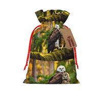 Xzsxhe Cute Brown Cartoon Owls Print Christmas Gift Bags, Drawstring Gift Wrap Bags Candy Storage Bag Reusable Party