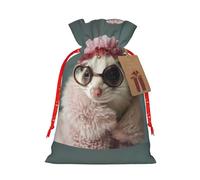 Xzsxhe French Fashion Model Ferrets Print Christmas Gift Bags, Drawstring Gift Wrap Bags Candy Storage Bag Reusable Party