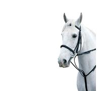 H&Y Y-H Hy Market Harborough Black Cob/Full