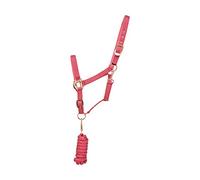 Hy Rose Gold Head Collar and Lead Rope - Blush Pink/Rose Gold - Cob