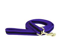 Hy Soft Webbing Lead Rein without Chain - Purple/Black - 2m