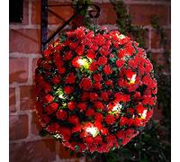 Y-H Yorkshire Homeware 1 Pc 20cm Solar Powered Topiary Ball with 20 Led Lights 2 Functions Hanging Topiary Ball Light Red
