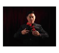 Y-Rose 2.0 Magic Tricks Multiplying Rose One to Four Romantic Flower Appearing Magia Stage Illusion Props (8pcs) (4pcs)