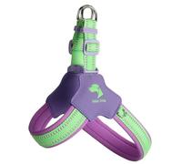 Y-shaped anti-pull dog harness designed specifically for Akita. It features an adjustable, softly padded chest vest with reflective strips, breathable design purple L