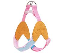 Y-shaped anti-pull dog harness designed specifically for Basenji. It features an adjustable, softly padded chest vest with reflective strips, breathable design orange color XS