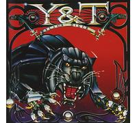 Y&T - Black Tiger