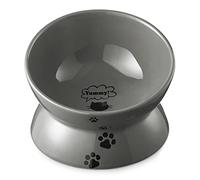 Y YHY Cat Bowl Anti Vomiting, 560 ml Raised Cat Food Bowls, Large Tilted Elevated Cat Bowl, Ceramic Pet Food Bowl for Flat Faced Cats, Small Dogs, Protect Pet's Spine, Dishwasher Safe