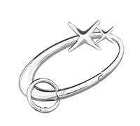 Y2K Cute Star Carabiner Keychain Cool Key Ring Extra-Large Shiny Chrome, Heavy Duty Carabiner, Karibiner Minimal Alloy Material Silver Cute for Car Keys Purse Handbag Backpack Bag Charms.