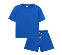 Y2k Little and Big Boys Sets Button Down Shirts Clothes Kids Shorts Short Sleeve Graphic Tee Animal Print Summer Outfits Beach Vacation Casual Suit Festival Streetwear Blue