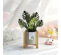 yaartz 3D Plant Pop Up Card Fake Plant for Women Friend Colleague, Birthday Anniversary Thank You Congratulation Get Well,Greeting Card with Envelope (Monstera)