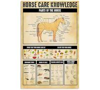 YAASIMOULE Poster Wall Art, Home Decor Horse Knowledge Care Parts Food That They Can Or Can Not Eat Glooming Tools Signs Of Colic GP2810