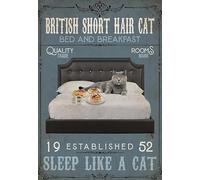 YAASIMOULE Wall Decoration, Home Decor, Decoration Room British Short Hair Cat - Bed And Breakfast Sleep Like A Cat Vertical