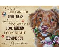 YAASIMOULE Wall Decoration, Home Decor, Decoration Room Nova Scotia Duck When It's Too Hard to Look Back
