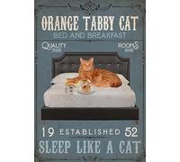 YAASIMOULE Wall Decoration, Home Decor, Decoration Room Orange Tabby Cat - Bed And Breakfast Sleep Like A Cat Vertical