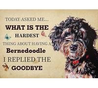 YAASIMOULE Wall Decoration, Home Decor, Decoration Room The Hardest Thing About Having A Bernedoodle Dog I Replied The Goodbye