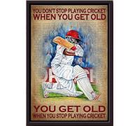 YAASIMOULE You Dont Stop Playing Cricket Games When Get Old Poster Framed Matte Canvas
