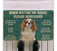 YACANNA Door Mat Indoor Outdoor Door Mat Entrance Washable Doormat 3D Please Remember Cavalier King Charles Spaniel Dogs House Doormat Indoor Doormat Non Slip Door Floor Mats Decor 45x75cm