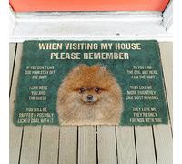 YACANNA Door Mat Indoor Outdoor Door Mat Entrance Washable Doormat 3D Please Remember Pomeranian Dogs House Rules Doormat Non Slip Door Floor Mats Decor 50x80cm
