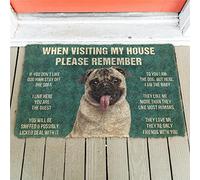 YACANNA Door Mat Indoor Outdoor Door Mat Entrance Washable Doormat Please Remember Pug Dogs House Rules Doormat Decor Print Doormat for Bedroom Porch 60x90cm